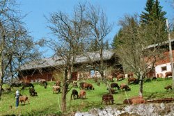 Bauernhof Longo Mai Foto